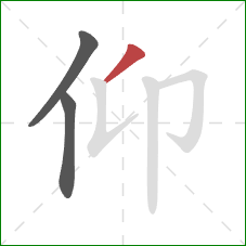 仰的笔顺第3画：撇