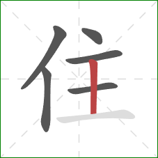 住的笔顺第6画：竖