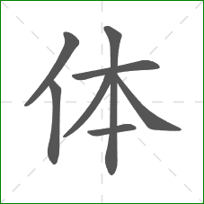 体的部首 体的部首