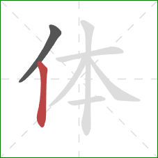 体的笔顺第2画:竖 体的笔顺第2画:竖