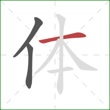 体的笔顺第3画:横 体的笔顺第3画:横