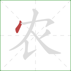 农的笔顺第1画：点