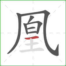 凰的笔顺第8画：横