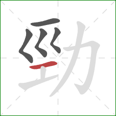 勁的笔顺第5画：横