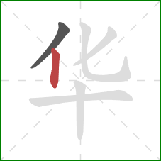华的笔顺第2画：竖