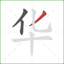 华的笔顺第3画：撇