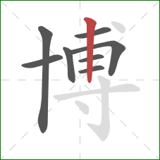 博的笔顺第8画：竖