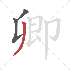 卿的笔顺第3画:撇 卿的笔顺第3画:撇