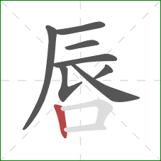 唇的笔顺第8画：竖