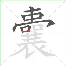 囊的笔顺第10画：横