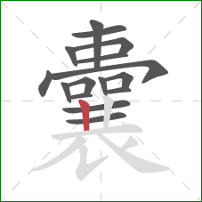 囊的笔顺第16画：竖