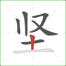 坚的笔顺第6画：竖