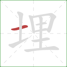 埋的笔顺第1画：横