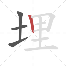 埋的笔顺第4画：竖