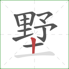 墅的笔顺第13画:竖 墅的笔顺第13画:竖