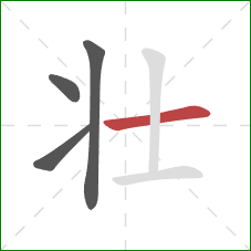 壮的笔顺第4画：横