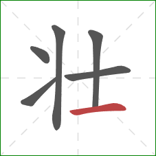 壮的笔顺第6画：横