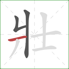 壯的笔顺第3画：横