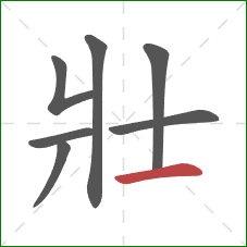 壯的笔顺第7画：横