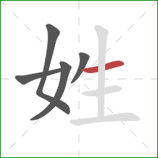 姓的笔顺第5画：横