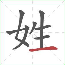 姓的笔顺第8画：横