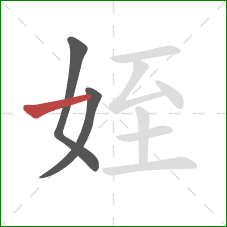 姪的笔顺第3画：横