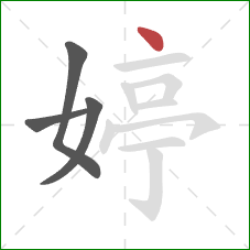 婷的笔顺第4画：点