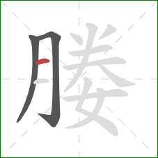 媵的笔顺第3画:横 媵的笔顺第3画:横