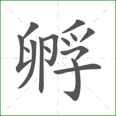 孵的部首 孵的部首