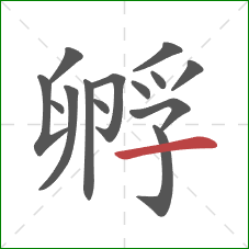 孵的笔顺第14画:横 孵的笔顺第14画:横