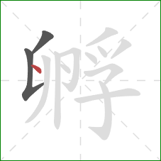 孵的笔顺第3画:点 孵的笔顺第3画:点