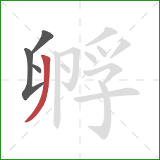 孵的笔顺第4画:撇 孵的笔顺第4画:撇