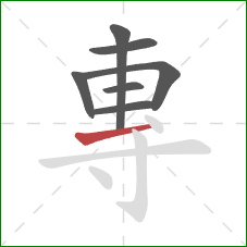 專的笔顺第7画：横