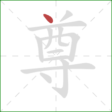 尊的笔顺第1画：点