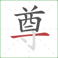 尊的笔顺第10画：横