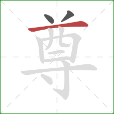 尊的笔顺第3画：横