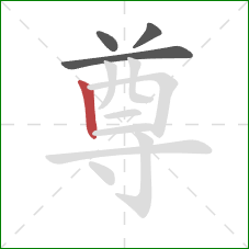 尊的笔顺第4画：竖