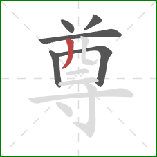 尊的笔顺第6画：撇