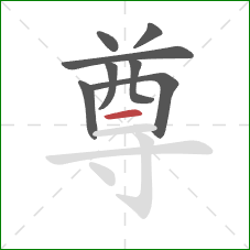尊的笔顺第8画：横