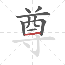 尊的笔顺第9画：横