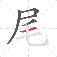 尾的笔顺第5画:横 尾的笔顺第5画:横