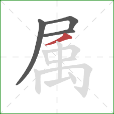 属的笔顺第4画：撇