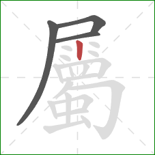 屬的笔顺第4画:竖 屬的笔顺第4画:竖