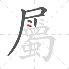 屬的笔顺第6画:提 屬的笔顺第6画:提