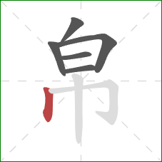 帛的笔顺第6画：竖