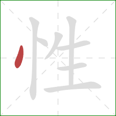 性的笔顺第1画：点