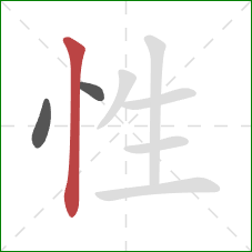 性的笔顺第3画：竖