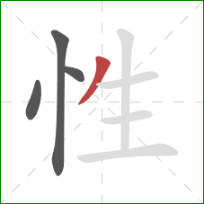 性的笔顺第4画：撇