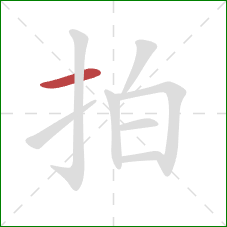 拍的笔顺第1画:横 拍的笔顺第1画:横