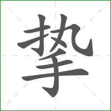 挚的部首 挚的部首